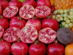 Mondo frutta di giunta m. e c. sas - Frutta e verdura - Viareggio (Lucca)