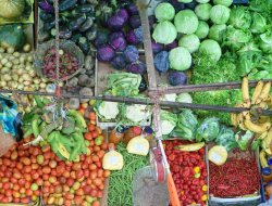 Il frutteto di bacci umberto - Frutta e verdura - Viareggio (Lucca)