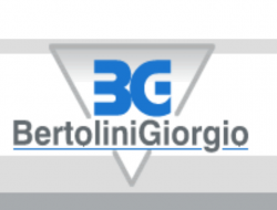 Bertolini giorgio - Pompe d'iniezione per motori - Parma (Parma)
