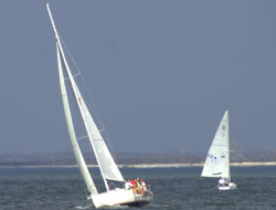 Oceanmed sailing s.r.l. - Nautica - noleggio,Scuole di vela e nautica - Policoro (Matera)