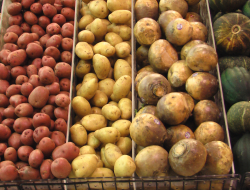 Supermercato crai - Supermercati - Ponte di Piave (Treviso)