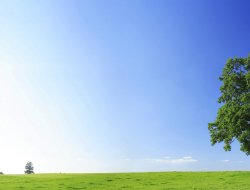 Grandambiente s.r.l. - Rifiuti industriali e speciali smaltimento e trattamento - servizio - Castagnito (Cuneo)