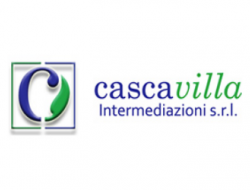 Cascavilla intermediazioni srl - Assicurazioni - Perugia (Perugia)