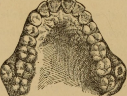 Bonafiglia roberto - Dentisti medici chirurghi ed odontoiatri - Venafro (Isernia)