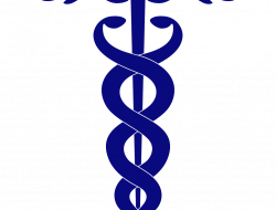 Nappi joseph farmacia - Farmacie - Nola (Napoli)