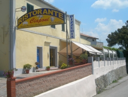 Ristorante pizzeria da ciaponi - Pizzerie,Ristoranti - Livorno (Livorno)