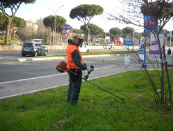 Cecchini leopoldo trasporti - Trasporti - Perugia (Perugia)