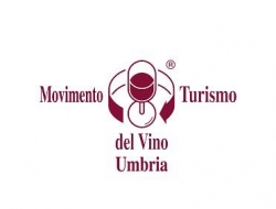 Movimento turismo del vino umbria - Associazioni, organizzazioni ed enti internazionali - Foligno (Perugia)