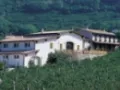 Opinioni degli utenti su Azienda Agricola L'Alveare