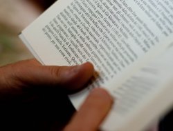 Libreria il viaggiatore leggero - Librerie - Calolziocorte (Lecco)