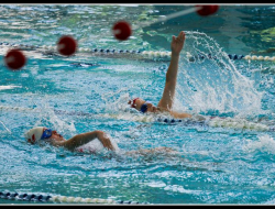 Centro nuoto le bandie - Palestre - Spresiano (Treviso)