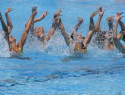 A.s. gymnic club nuoto - Sport - associazioni e federazioni - Lucca (Lucca)