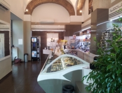 Gelateria il dolce sorriso - Gelaterie - Roma (Roma)