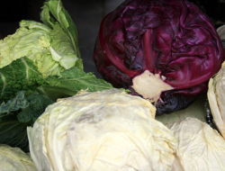 Market nalin s.r.l. - Alimentari - produzione e ingrosso - Cartura (Padova)