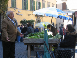 Luna s.n.c. di caneva juri e iacopetti oscar - Bar e caffè - Porlezza (Como)