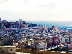 Oliveri lorenzo - Agenzie immobiliari - Genova (Genova)