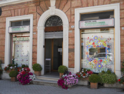 Agenzia immobiliare domus - Agenzie immobiliari - Castelraimondo (Macerata)
