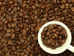 El mat s.r.l. - Caffè torrefatto,Capsule,Macchine caffè espresso - commercio e riparazione,Macchine caffè espresso - vendita e riparazione - Brescia (Brescia)