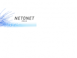 Netonet - Marketing e ricerche di mercato,Servizi vari - Viterbo (Viterbo)