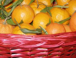Annarendina - Frutta e verdura - Striano (Napoli)