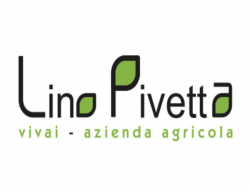 Azienda agricola vivai lino pivetta di pivetta denis & c. - soc. sempli - Vivai piante e fiori - Porcia (Pordenone)
