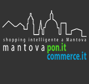 Incommerce - Informatica - consulenza e software,Apparecchiature elettroniche,Computer - manutanzione,Hosting di siti web,Pubblicità - consulenza e servizi,Pubblicità diretta e promozione vendite,Servizi fotografici pubblicitari,Siti web - progettazione,Web design,Web Agency - Pegognaga (Mantova)