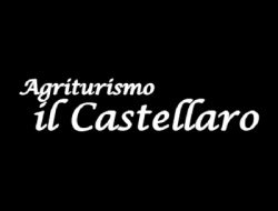 Agriturismo il castellaro - Agriturismo,Ristoranti - Sassoferrato (Ancona)
