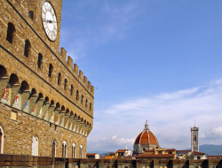 Hotel enza di petrarolo claudio - Alberghi - Firenze (Firenze)
