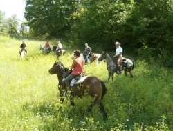 Agriturismo piccola raieda - Agriturismo - Sasso Marconi (Bologna)