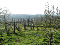 Agriturismo la barroccia - Azienda agricola - Galeata (Forlì-Cesena)
