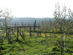 Agriturismo la barroccia - Azienda agricola - Galeata (Forlì-Cesena)