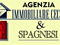Immobiliare cecchi & spagnesi - Agenzie immobiliari - Signa (Firenze)