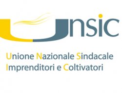 Unsic zonale pa/331 - Associazioni sindacali e di categoria - Montelepre (Palermo)