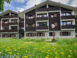 Immobiliare la betulla s.r.l. - Case Vacanze - Bormio (Sondrio)