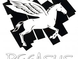 Cartolibreria pegasus - Cartolerie,Fotocopie - Salerno (Salerno)