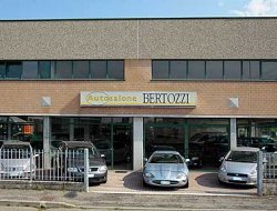 Autosalone bertozzi - Autoveicoli usati - Bagnolo in Piano (Reggio Emilia)