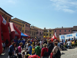 Sezione a.v.i.s mondolfo - Associazioni di volontariato e di solidarietà - Mondolfo (Pesaro-Urbino)