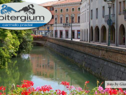 Opitergium assicurazioni - Assicurazioni,Assicurazioni - agenzie e consulenze - Oderzo (Treviso)
