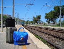 Blue life di caramia antonio c. s.a.s. - Agenzie viaggi e turismo - Martina Franca (Taranto)