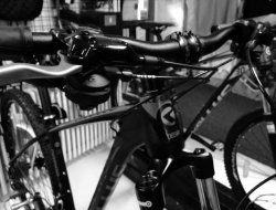 Moser cicli di michele casatta - Biciclette - accessori e parti,Biciclette - vendita e riparazione - Trento (Trento)