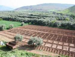 Aic campania - Associazioni sindacali e di categoria - Caserta (Caserta)