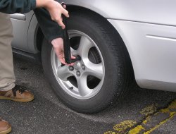 Onori gomme societa'' a responsabilita'' limitata semplificata - Pneumatici - commercio e riparazione - Pomezia (Roma)