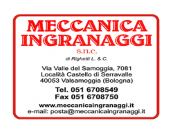 Meccanica ingranaggi snc di righetti lucia & c. - Ingranaggi - Castello di Serravalle (Bologna)