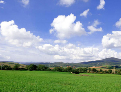 Azienda agricola s.angelo al chiarone - Azienda agricola - Montalto di Castro (Viterbo)