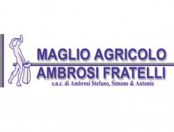 Maglio agricolo ambrosi fratelli - Macchine agricole - produzione,Macchine agricole - riparazione e vendita - Tezze sul Brenta (Vicenza)