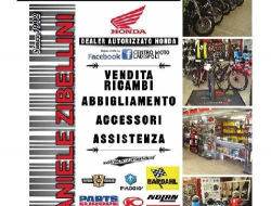 Daniele zibellini - centro moto ladispoli - Biciclette - vendita e riparazione,Motocicli e motocarri - vendita e riparazione - Ladispoli (Roma)