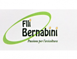 F.lli bernabini s.r.l. - Avicoltura - Gambettola (Forlì-Cesena)