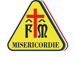 Confraternita di misericordia di peccioli - Ambulanze private - servizio - Peccioli (Pisa)