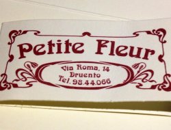 Petite fleur di giuseppina paola zorloni - Fiorai,Fiorai - accessori e forniture - Druento (Torino)