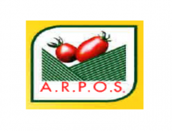 A.r.p.o.s. societa' cooperativa - Ortofrutticoltura - Sanluri (Sud Sardegna)